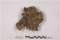 藏品(霜地卷)的圖片